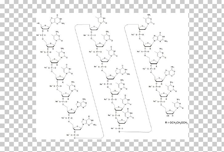 White Point Line Art Angle Non-proteinogenic Amino Acids PNG, Clipart, Amino Acid, Angle, Animal, Area, Black And White Free PNG Download