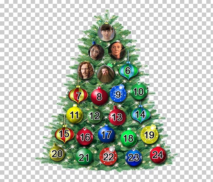 Christmas Tree Christmas Ornament Fir Christmas Day PNG, Clipart, Christmas, Christmas Day, Christmas Decoration, Christmas Ornament, Christmas Tree Free PNG Download