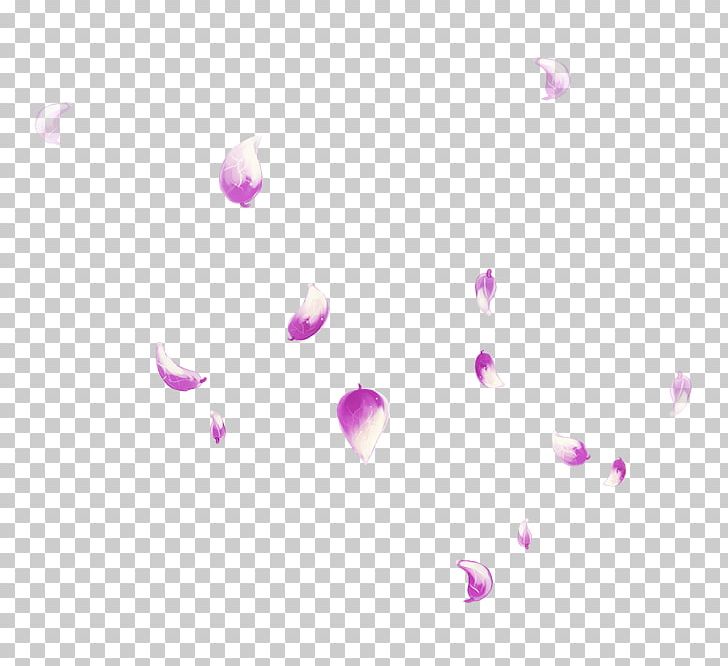 Petal PNG, Clipart, Computer Graphics, Download, Drawing, Encapsulated Postscript, Fall Free PNG Download