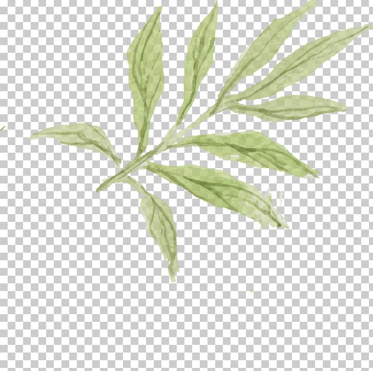 Watercolor Painting Flower Drawing PNG, Clipart, Art, Branch, Drawing, Effect, Flowers Free PNG Download