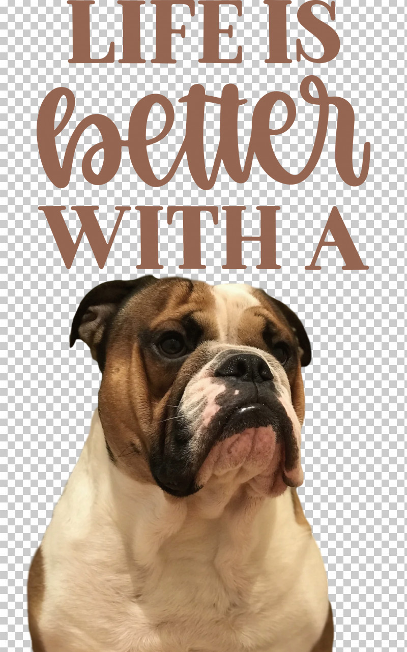 Life Better PNG, Clipart, Better, Breed, Bulldog, Bulldog Type, Dog Free PNG Download