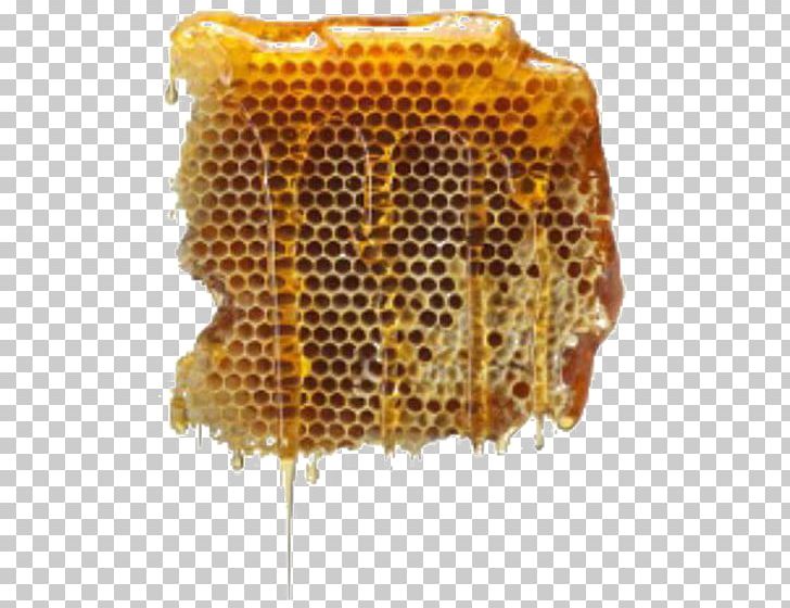 Beehive Honey Beekeeping Apiary PNG, Clipart, Bee, Beekeeper, Bees Honey, Colony, Colony Collapse Disorder Free PNG Download