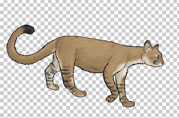 Cougar Felidae Cat Lion Animal PNG, Clipart, Animal, Animal Figure, Animals, Art, Big Cat Free PNG Download