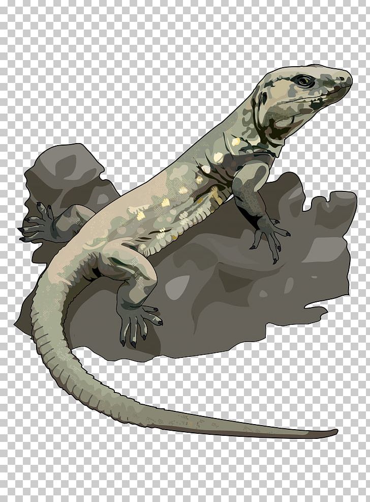 El Hierro Giant Lizard El Hierro Giant Lizard Reptile Tenerife Speckled Lizard PNG, Clipart, Animals, Canary Islands, Drawing, Education, El Hierro Free PNG Download