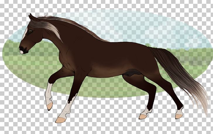 Foal Mane Horse Stallion Pony PNG, Clipart, Animals, Bridle, Colt, English Riding, Equestrian Free PNG Download