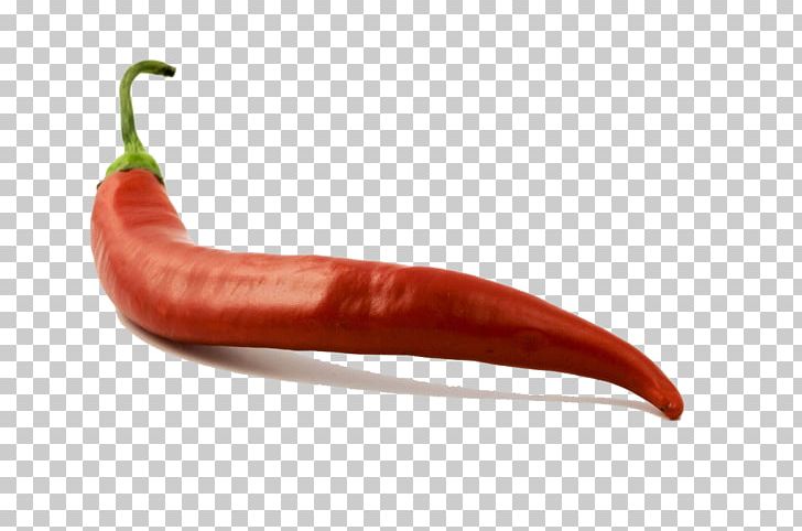 Indian Cuisine Asian Cuisine Chili Pepper Food Spice PNG, Clipart, Asian Cuisine, Bell Peppers And Chili Peppers, Birds Eye Chili, Cayenne Pepper, Chef Free PNG Download