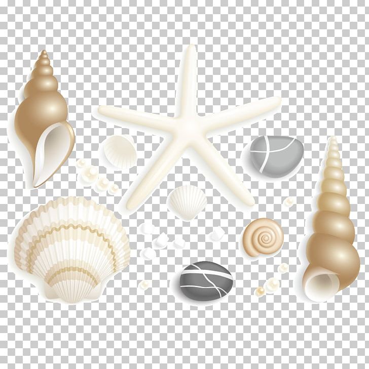 Seashell Starfish Drawing PNG, Clipart, Animals, Beach, Cartoon, Cartoon Starfish, Cobblestone Free PNG Download