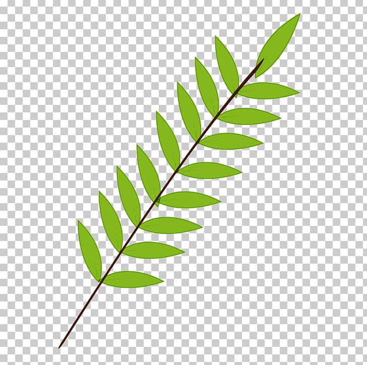 Branch Leaf Green PNG, Clipart, Background Green, Branch, Branches, Color, Download Free PNG Download