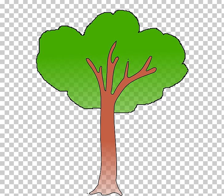 Branch Tree PNG, Clipart, Branch, Cartoon, Drawing, Flora, Flower Free PNG Download