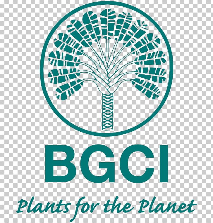 Kew University Of Oxford Botanic Garden Botanic Gardens Conservation International Botanical Garden PNG, Clipart, Arbnet, Arboretum, Area, Botanic, Botanic Free PNG Download