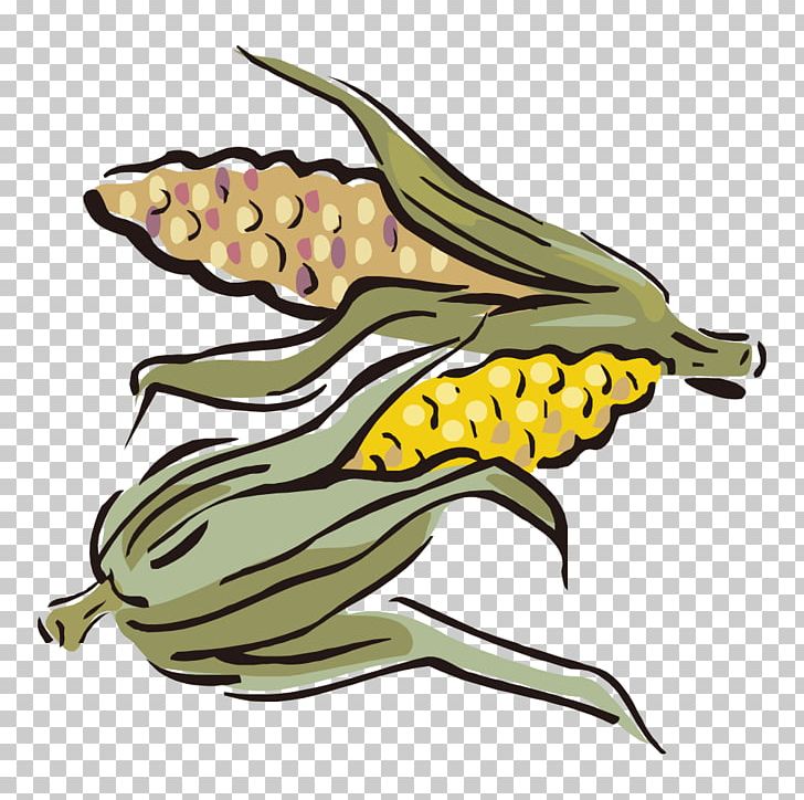 Maize Illustration PNG, Clipart, Art, Baogu, Cartoon, Cartoon Corn, Corn Free PNG Download