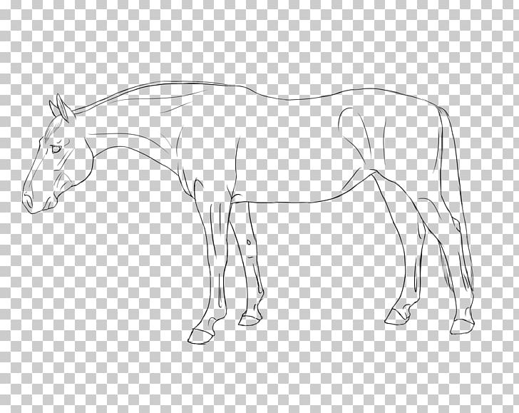 Mule Halter Foal Stallion Colt PNG, Clipart, Arm, Artwork, Black And White, Bridle, Colt Free PNG Download