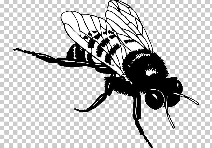 Bee Blog PNG, Clipart, Arthropod, Artwork, Bee, Beetle Tatto, Black And White Free PNG Download
