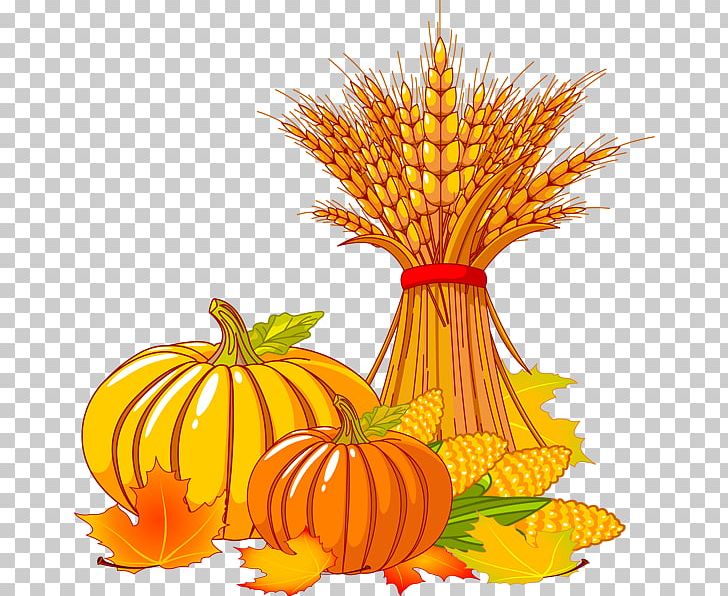 Thanksgiving Autumn Turkey PNG, Clipart, Autumn, Calabaza, Clipart, Clip Art, Commodity Free PNG Download
