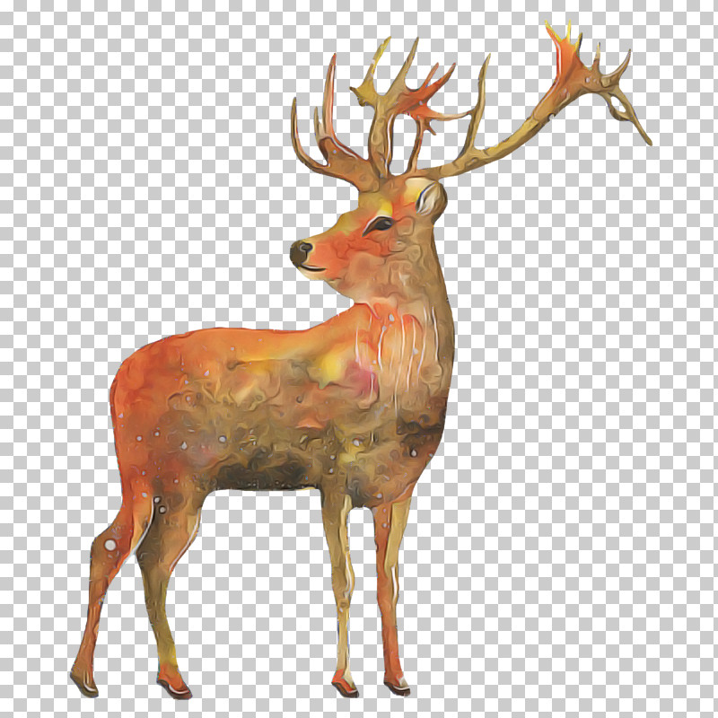 Reindeer PNG, Clipart, Animal Figure, Antler, Deer, Elk, Fawn Free PNG Download