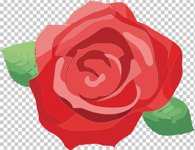 Garden Roses PNG, Clipart, Biology, Cabbage Rose, Flower, Garden, Garden Roses Free PNG Download