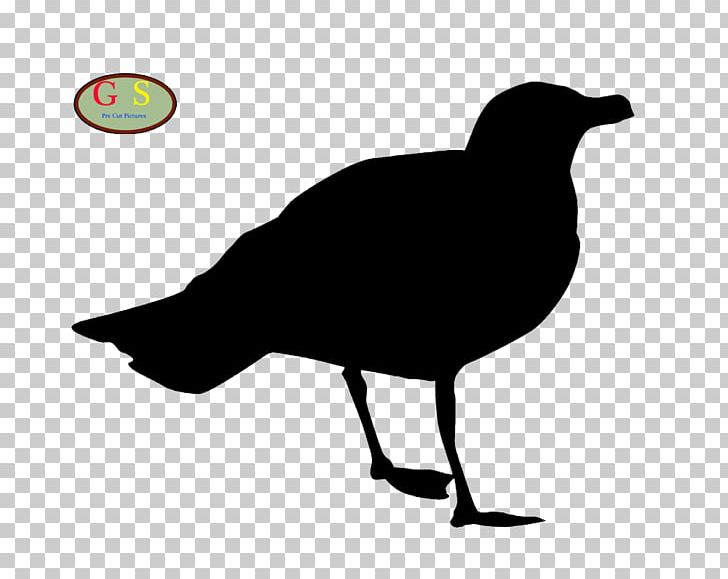Bird Stock Photography Silhouette Gulls PNG, Clipart, Animals, Beak, Bird, Black And White, Download Free PNG Download