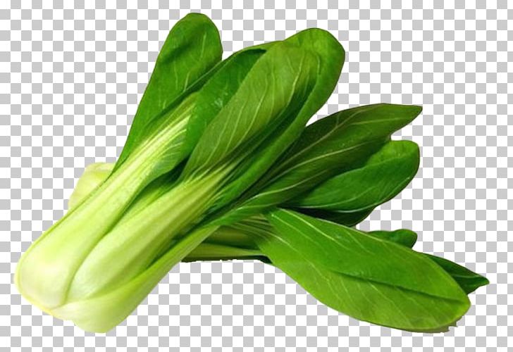 Bok Choy PNG, Clipart, Bok, Bok Choy, Chinese Cabbage, Choy, Choy Sum Free PNG Download