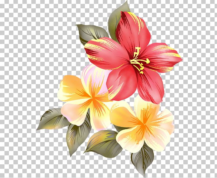 Cut Flowers Shoeblackplant PNG, Clipart, Alstroemeriaceae, Cicekler, Cut , Desktop Wallpaper, Floral Design Free PNG Download