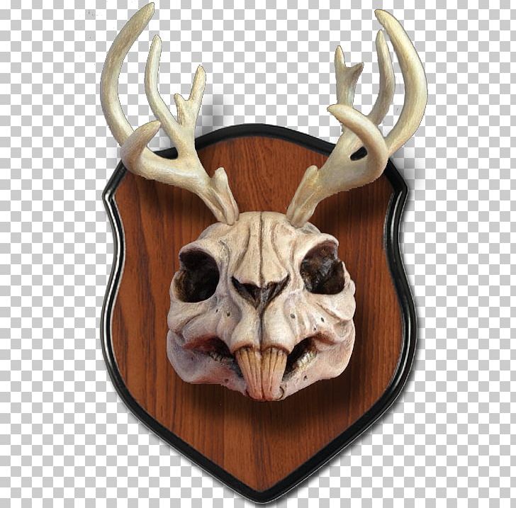Jackalope Skull Deer Antler Rabbit PNG, Clipart, Antler, Art, Bone, Deer, Ear Free PNG Download