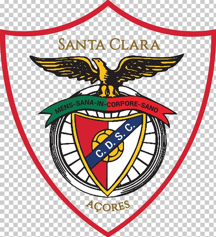 C.D. Santa Clara Estádio De São Miguel Primeira Liga Real S.C. LigaPro PNG, Clipart, Area, Artwork, Azores, Beak, Brand Free PNG Download