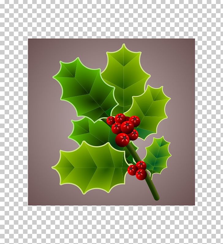 Christmas Common Holly PNG, Clipart, Aquifoliaceae, Aquifoliales, Christmas, Christmas Decoration, Christmas Ornament Free PNG Download