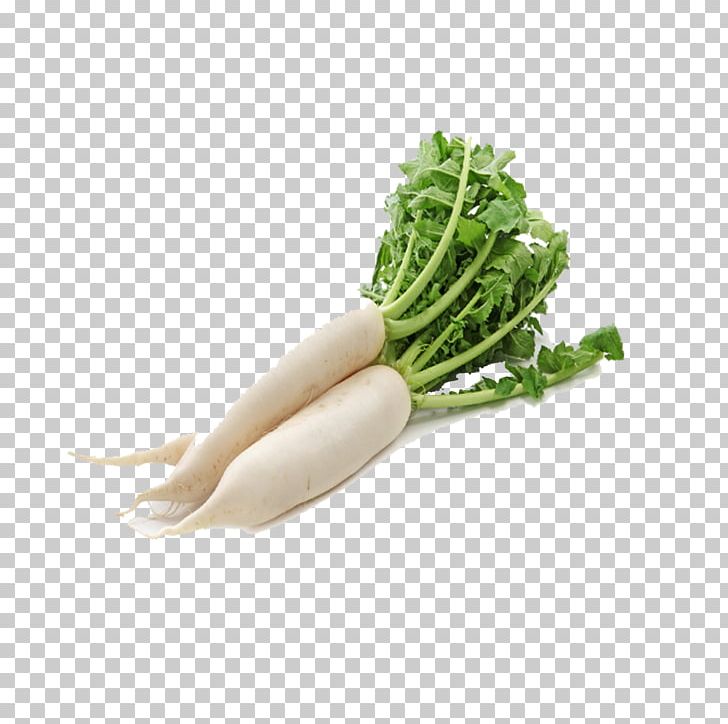 Daikon Leaf Vegetable Chinese Cabbage PNG, Clipart, Beetroot, Cabbage, Chinese Cabbage, Daikon, Food Free PNG Download