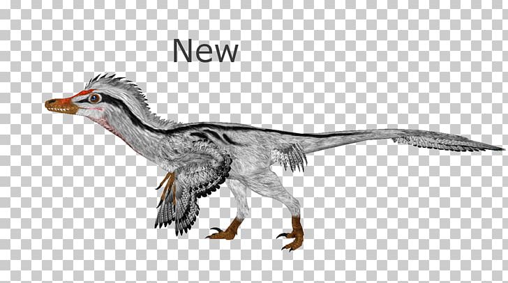 Duck Velociraptor Zoo Tycoon 2: Extinct Animals Deinonychus Tyrannosaurus PNG, Clipart, Animal, Animal Figure, Animals, Beak, Bird Free PNG Download