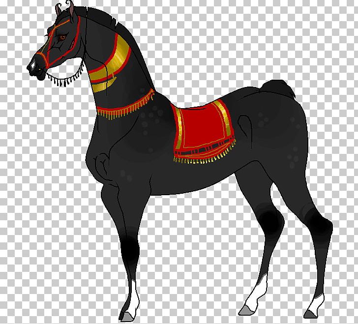 Halter Horse Harnesses Saddle Rein Bridle PNG, Clipart, Bit, Bridle, Colt, Equestrian, Equestrian Sport Free PNG Download