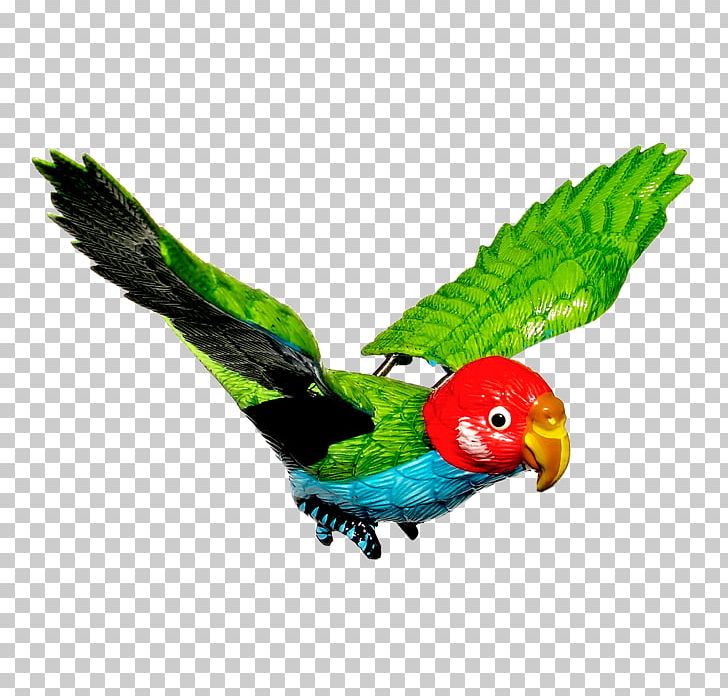 True Parrot PNG, Clipart, Animals, Background Green, Beak, Bird, Common Pet Parakeet Free PNG Download
