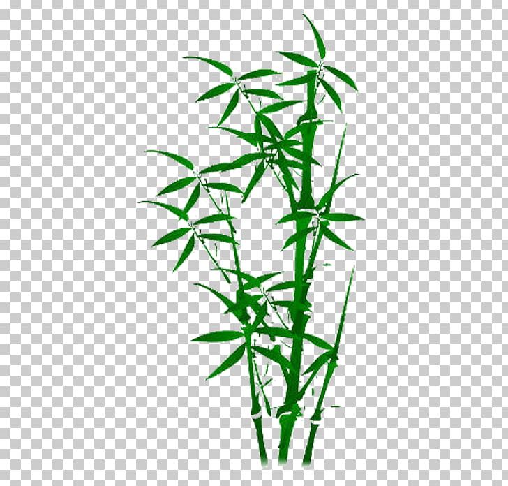 Bamboo Plant Illustration PNG, Clipart, Bamboo, Bamboo Border, Bamboo Frame, Bamboo House, Bamboo Leaf Free PNG Download