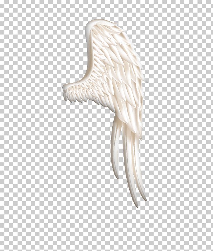 Bird Wing Icon PNG, Clipart, Angel Wing, Angel Wings, Animation, Beak, Bird Free PNG Download