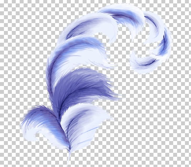 Feather PNG, Clipart, Animals, Blog, Blue, Download, Email Free PNG Download