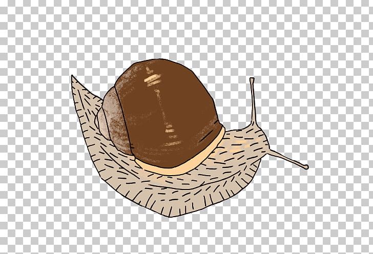 Hat Snail PNG, Clipart, Giant African Snail, Hat, Headgear, Snail, Snails And Slugs Free PNG Download