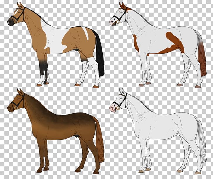 Horse Show Mule Art PNG, Clipart, Animals, Art, Bridle, Colt, Equestrian Free PNG Download