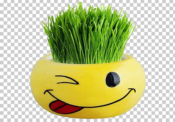 Sabze Haft-sin Nowruz Holiday Evaz PNG, Clipart, Active, Commodity, Education, Esfand, Flowerpot Free PNG Download