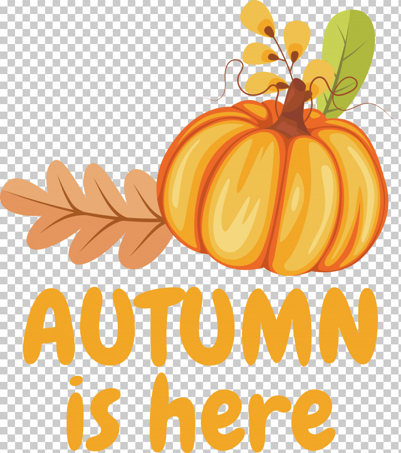 Pumpkin PNG, Clipart, Drawing, Fruit, Juice, Painting, Pumpkin Free PNG Download
