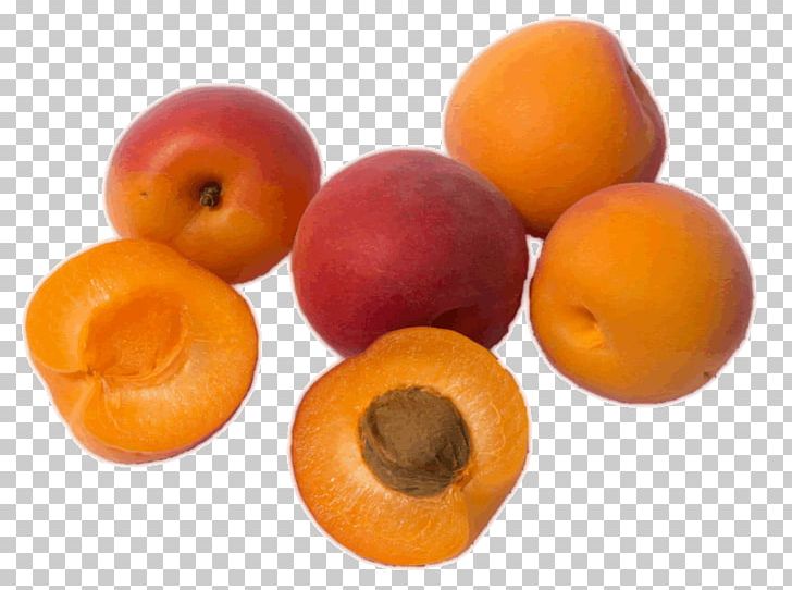 Apricot Kernel Apricot Oil Amygdalin Fruit PNG, Clipart, Amygdalin, Amygdaloideae, Apricot, Apricot Kernel, Apricot Oil Free PNG Download