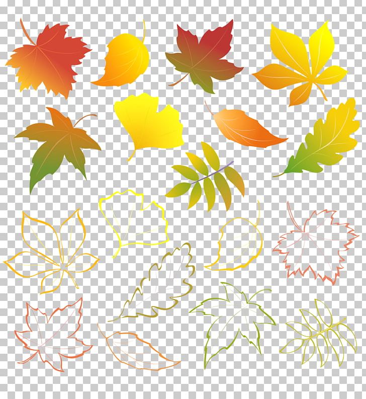 Autumn Leaves Autumn Leaf Color PNG, Clipart, Artwork, Autumn, Autumn , Branch, Fall Free PNG Download