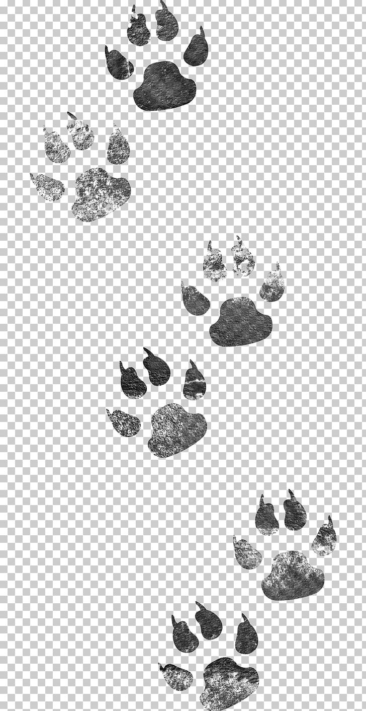 Dog Cat PNG, Clipart, Animal, Black And White, Cartoon, Cat, Dog Free PNG Download