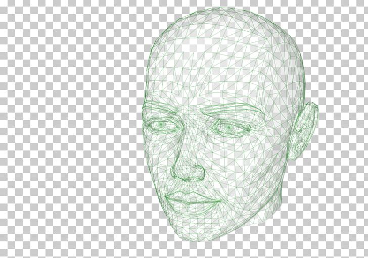 Human Head Drawing PNG, Clipart, Bone, Brain, Drawing, Face, Head Free PNG Download