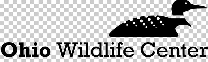 Ohio Wildlife Center Animal Control And Welfare Service Human–wildlife Conflict Non-profit Organisation PNG, Clipart, Animal Control And Welfare Service, Area, Black, Black And White, Brand Free PNG Download