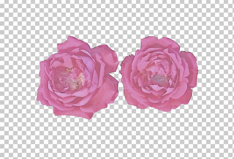 Garden Roses PNG, Clipart, Artificial Flower, Cabbage Rose, Cut Flowers, Flower, Garden Free PNG Download