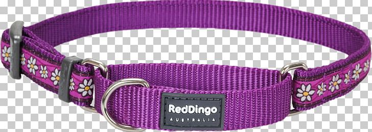 Dog Collar PNG, Clipart, Dog Collar Free PNG Download