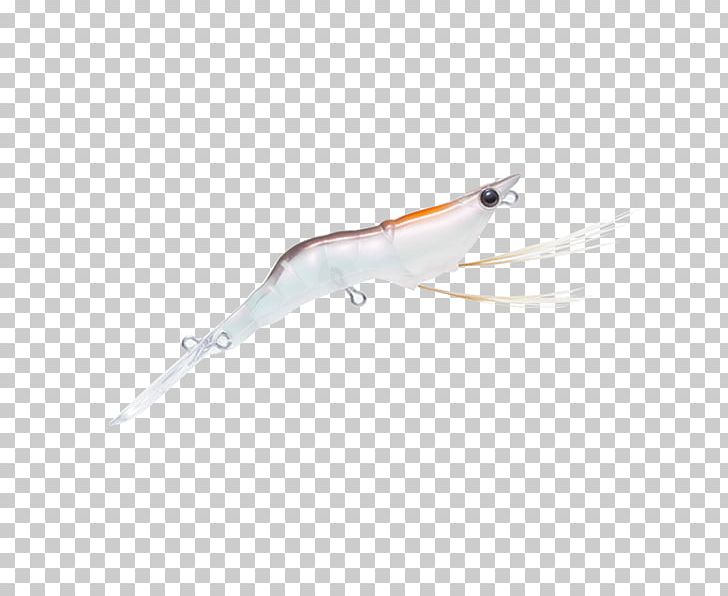 Duel Hardocre Moe B S 50 GSR PNG, Clipart, Duel, Fishing Baits Lures, Orange, Others, Wing Free PNG Download