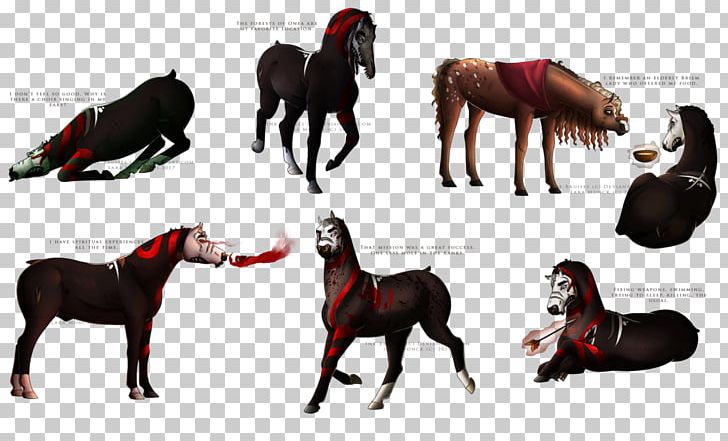 Mustang Stallion Mare Rein Halter PNG, Clipart, Bridle, Bruise, Halter, Horse, Horse Like Mammal Free PNG Download