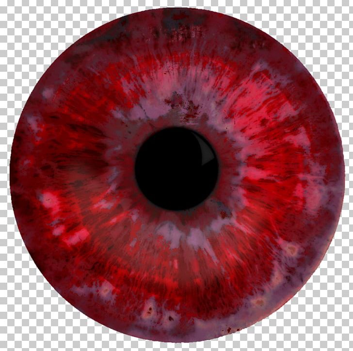 Red Eye Iris Organ Pupil PNG, Clipart, Circle, Closeup, Conjunctivitis, Eye, Eyelash Free PNG Download