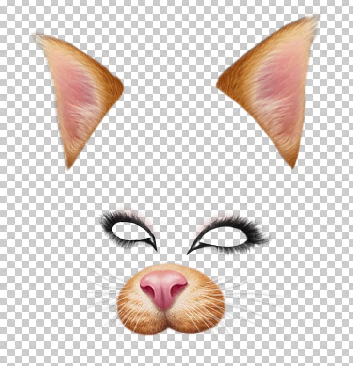 Dog Snapchat Photographic Filter PNG, Clipart, Cat, Cat Like Mammal, Communication, Computer Icons, Connectivity Free PNG Download