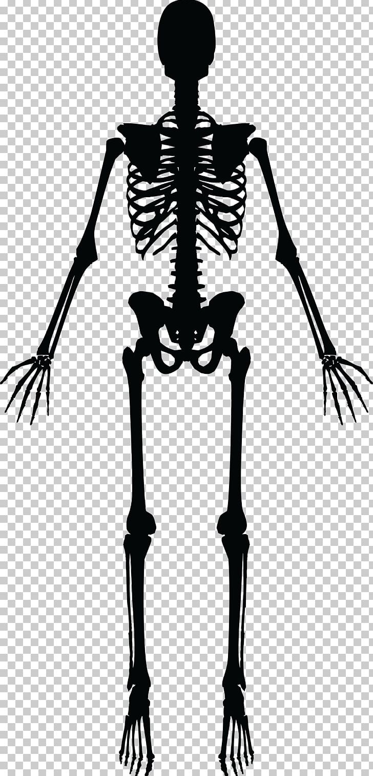 Human Skeleton Silhouette PNG, Clipart, Arm, Black And White, Bone, Fantasy, Human Free PNG Download