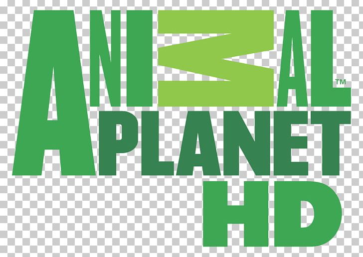 Logo Animal Planet Television Channel Boomerang PNG, Clipart, Angle, Animal, Animal Planet, Animal Planet Hd, Area Free PNG Download